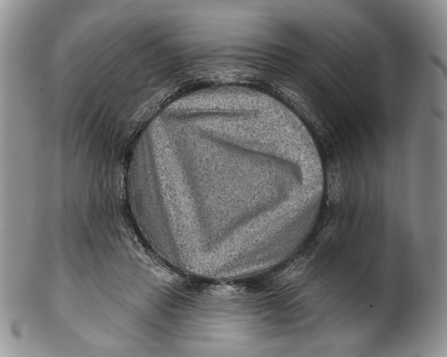 X0000100780453200807101820