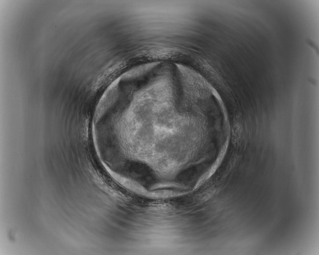 X0000100780454200807101820