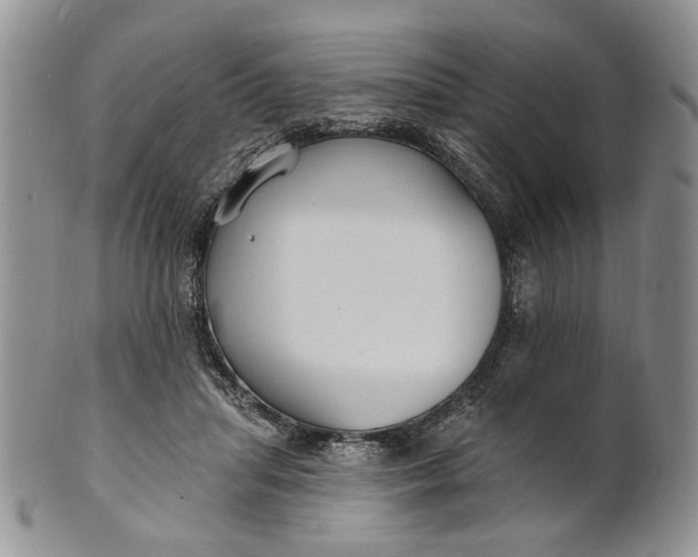 X0000100780455200807101820