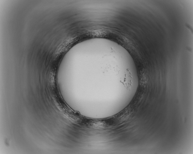 X0000100780456200807101820