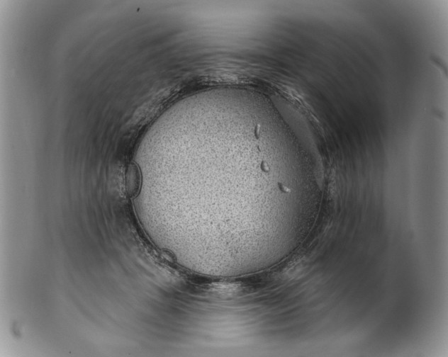 X0000100780457200807101820