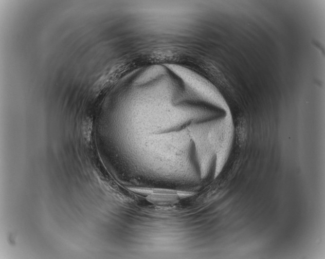 X0000100780458200807101820