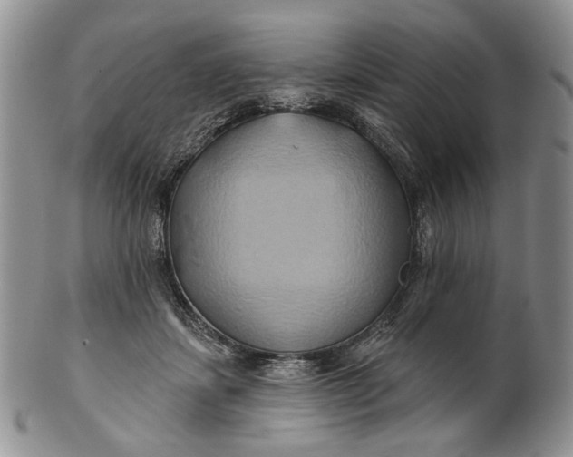 X0000100780459200807101820