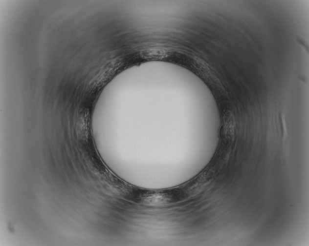 X0000100780460200807101820