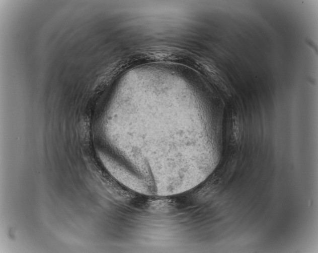 X0000100780461200807101820