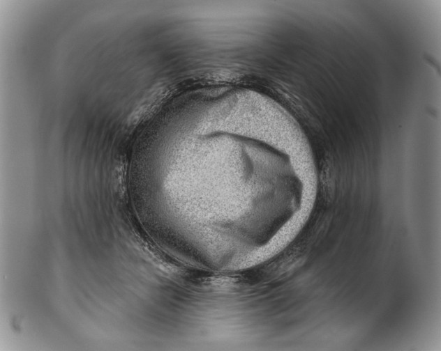 X0000100780462200807101820