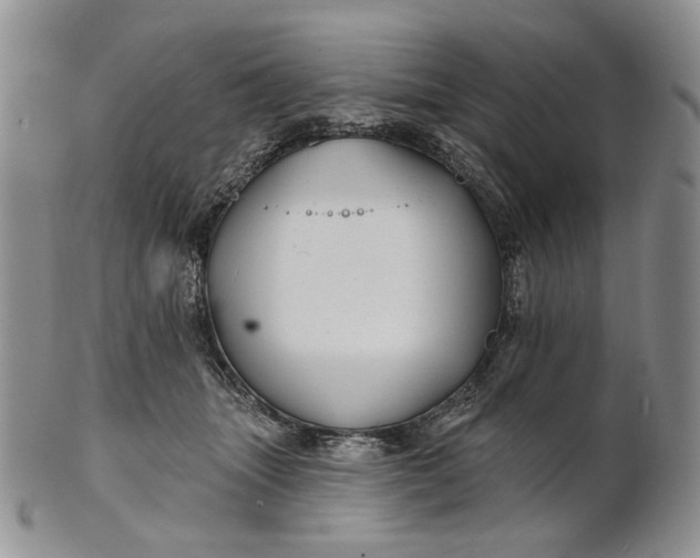 X0000100780463200807101820