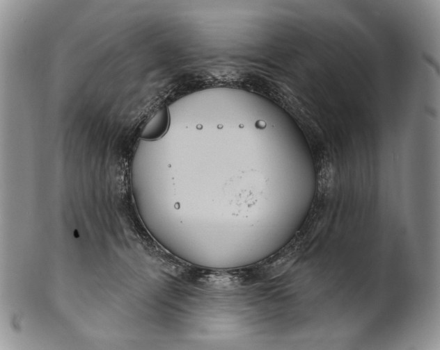 X0000100780464200807101820