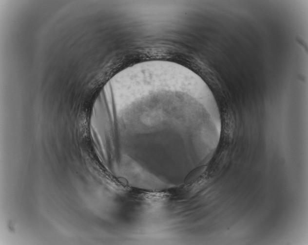 X0000100780465200807101820