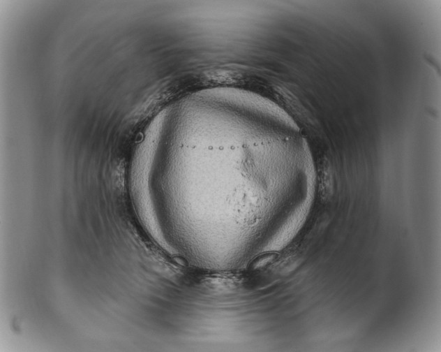 X0000100780466200807101820