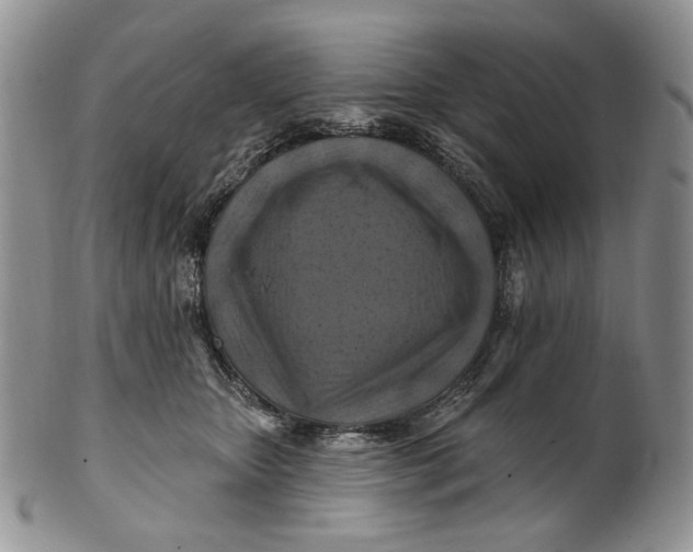 X0000100780467200807101820