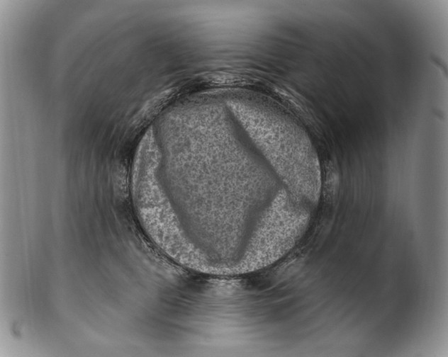 X0000100780469200807101820