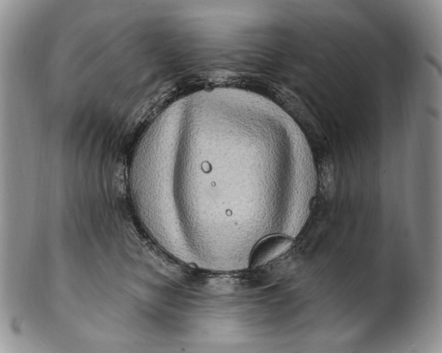 X0000100780470200807101820