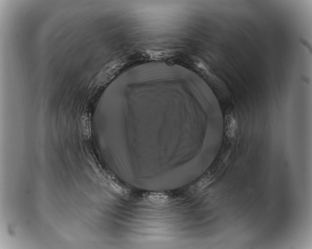 X0000100780471200807101820