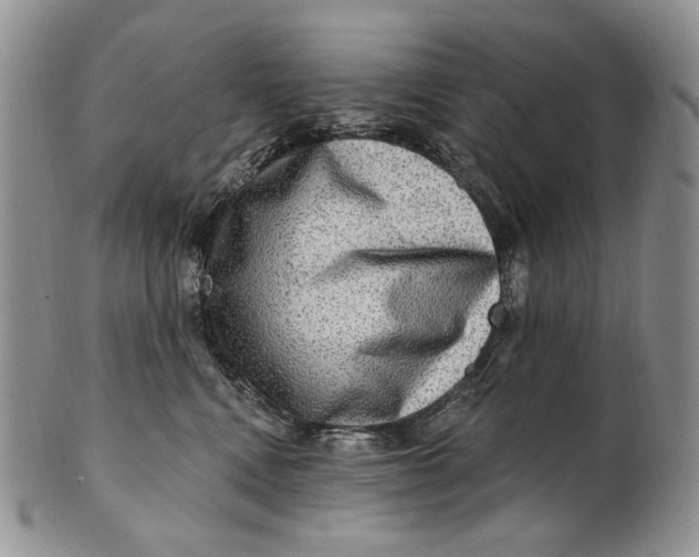 X0000100780472200807101820