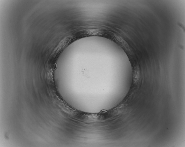 X0000100780473200807101820