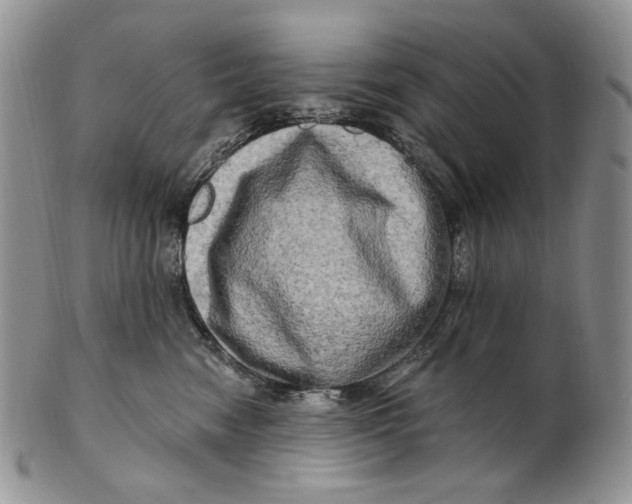 X0000100780474200807101820