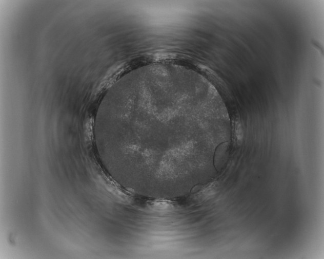 X0000100780475200807101820