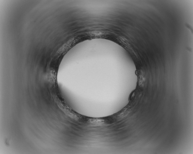 X0000100780476200807101820