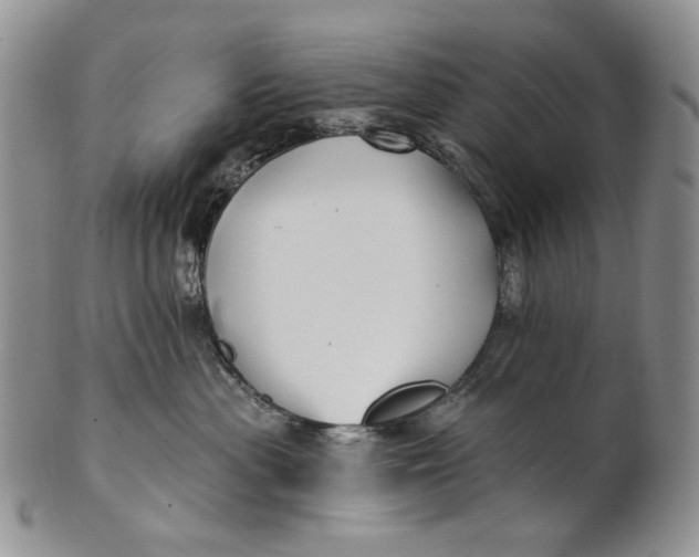 X0000100780477200807101821