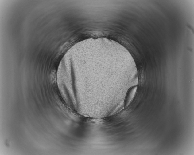 X0000100780478200807101821