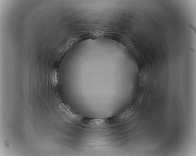 X0000100780479200807101821