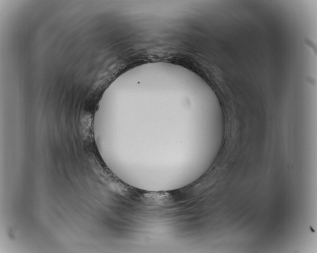 X0000100780480200807101821