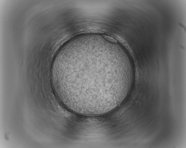 X0000100780481200807101820