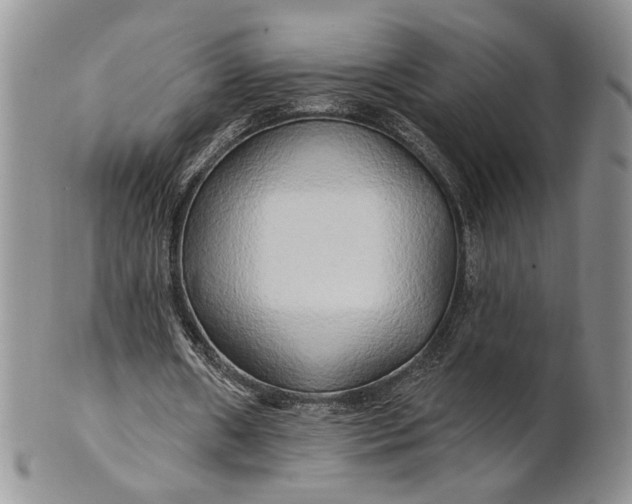 X0000100780482200807101820