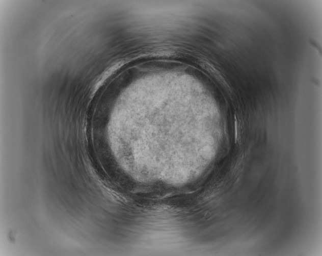 X0000100780483200807101820