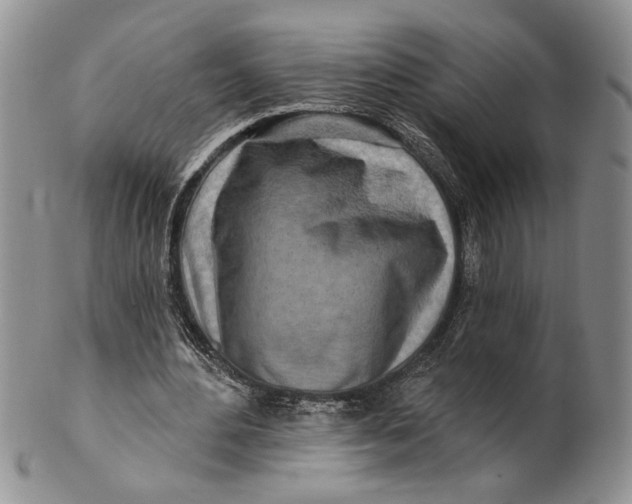 X0000100780484200807101820