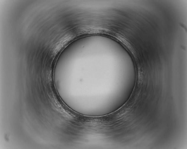 X0000100780485200807101820