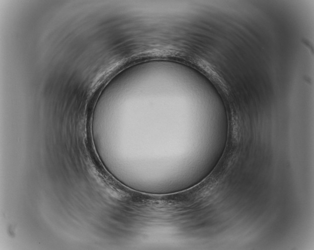 X0000100780486200807101820