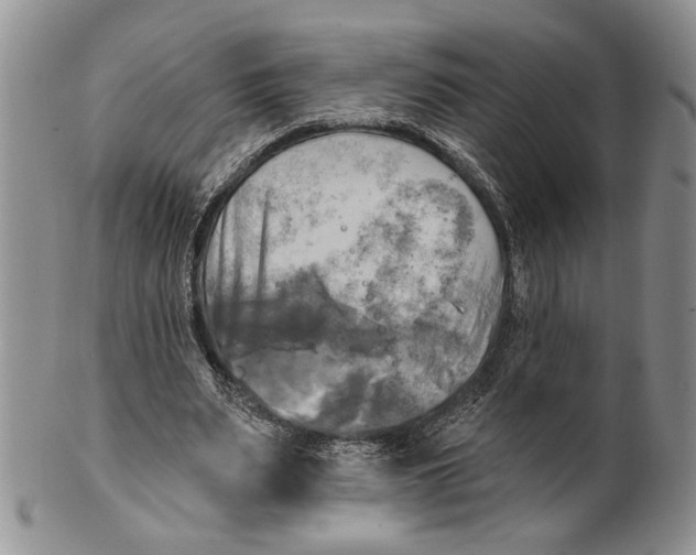 X0000100780487200807101820