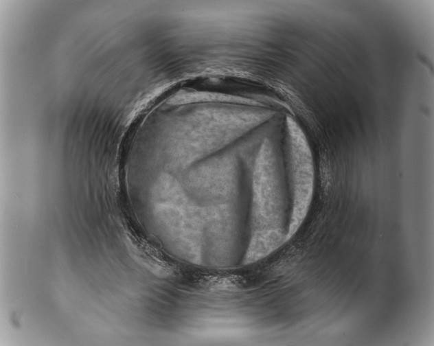 X0000100780488200807101820