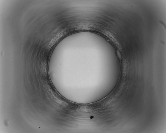 X0000100780489200807101820