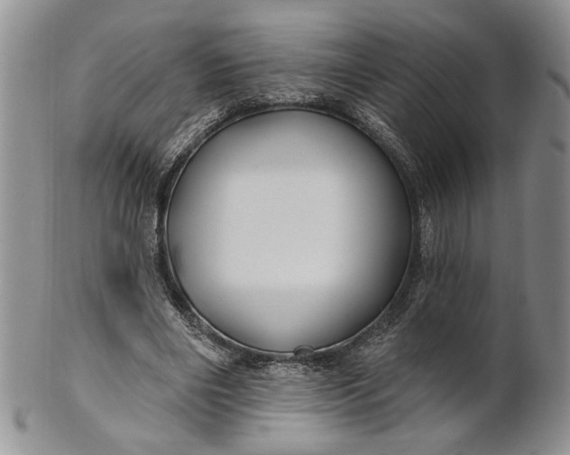 X0000100780490200807101820