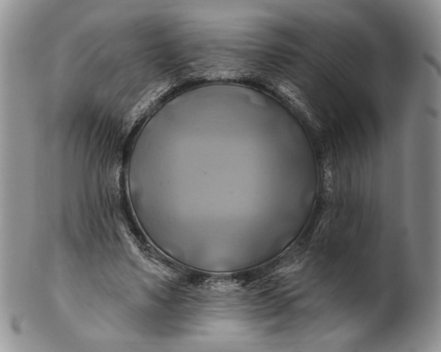 X0000100780491200807101820