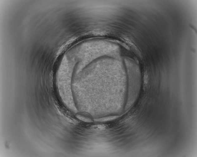 X0000100780492200807101820