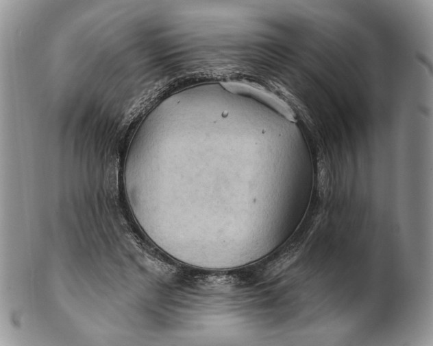 X0000100780493200807101820