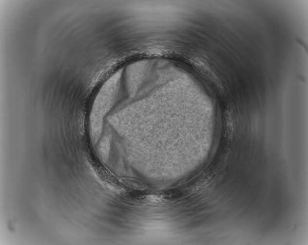 X0000100780496200807101820