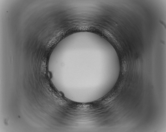 X0000100780497200807101820