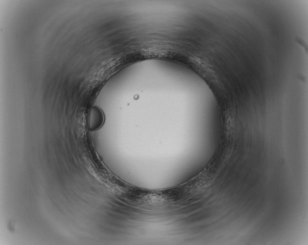 X0000100780498200807101820