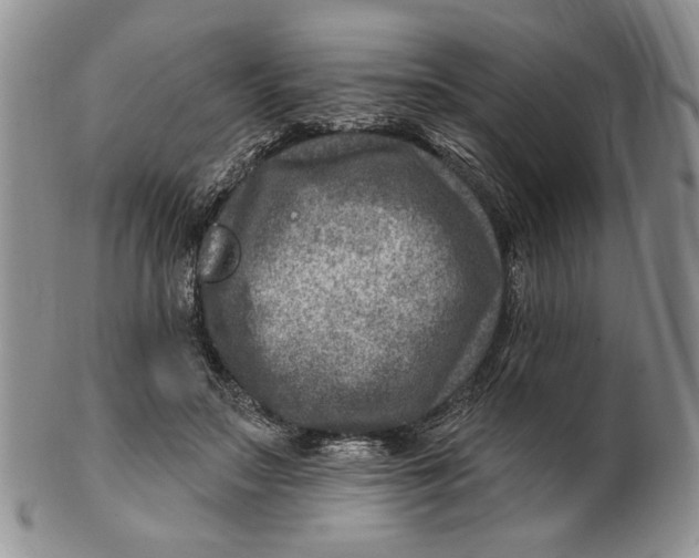 X0000100780499200807101820