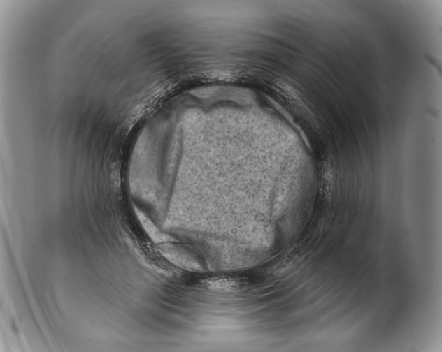 X0000100780500200807101820