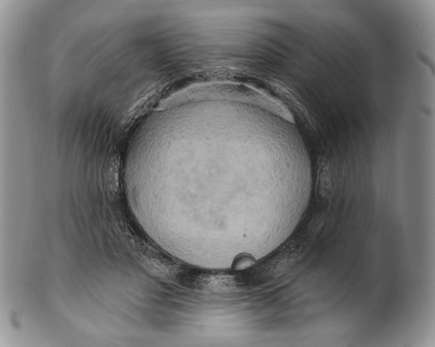 X0000100780501200807101820