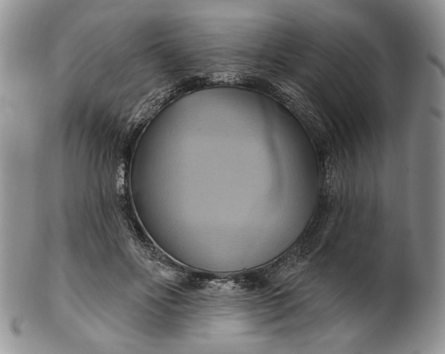 X0000100780502200807101820