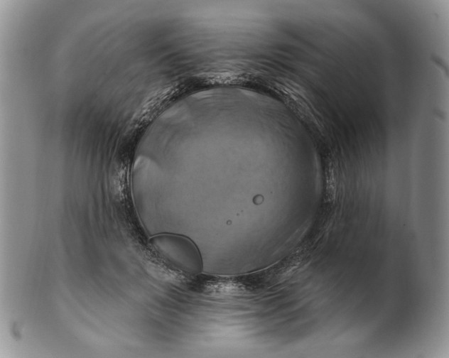 X0000100780503200807101819