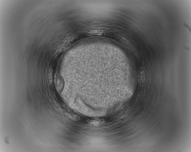 X0000100780504200807101819