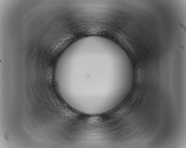 X0000100780505200807101819